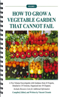 How to Grow a Vegetable Garden That Cannot Fail