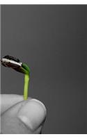 Seed Propagation Notebook