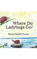 Where Do Ladybugs Go?