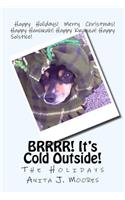 BRRRR! It's Cold Outside!: The Holidays