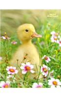 Baby Duck Unruled Notebook