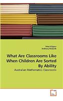 What Are Classrooms Like When Children Are Sorted By Ability