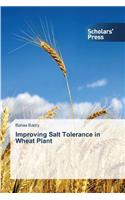 Improving Salt Tolerance in Wheat Plant: (English)
