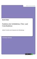Funktion der Schilddrüse. Über- und Unterfunktion
