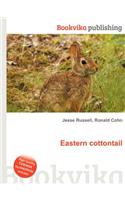 Eastern Cottontail