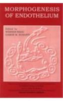Morphogenesis of Endothelium