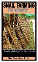 Snail Farming for Beginners