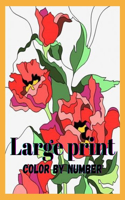 Large Print Color By Number: Beautiful Large Print Birds, Flowers Color By Number Coloring Book