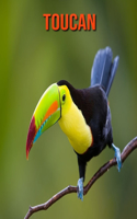 Toucan: Fun Facts & Cool Pictures