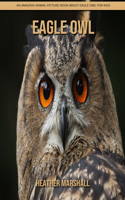 Eagle Owl