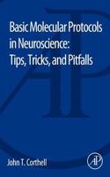 Basic Molecular Protocols in Neuroscience: Tips, Tricks, and Pitfalls: Tips, Tricks, and Pitfalls