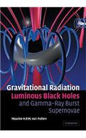 Gravitational Radiation, Luminous Black Holes and Gamma-Ray Burst Supernovae