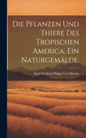 Pflanzen und Thiere des tropischen America, ein Naturgemälde.