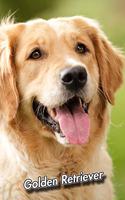 Golden Retriever: 2020 Weekly Calendar 12 Months 107 pages 6 x 9 in. Planner Diary Organizer Agenda Appointment Half Spread Wide Ruled Pages