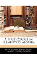 A First Course in Elementary Algebra