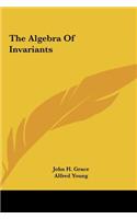 The Algebra Of Invariants