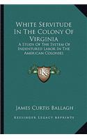 White Servitude in the Colony of Virginia: A Study of the System of Indentured Labor in the American Colonies(English)