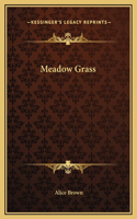 Meadow Grass