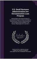 U.S. Small Business Administration low Documentation Loan Program