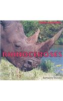 Rhinoceroses