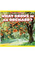 What Grows in an Orchard?: (Plants in My World)