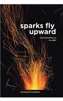 Sparks Fly Upward: Why God Allows Us to Suffer