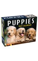 Puppies 2021 Mini Day-To-Day Calendar