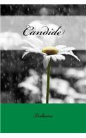 Candide