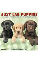 Just Lab Puppies 2019 Wall Calendar (Dog Breed Calendar)