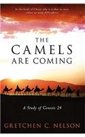 The Camels Are Coming