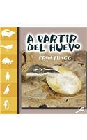 A Partir del Huevo: From an Egg