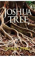 Joshua Tree