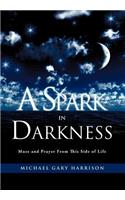 A Spark in Darkness