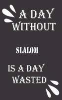 day without slalom is a day wasted