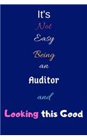 It's Not Easy Being an Auditor and Looking This Good
