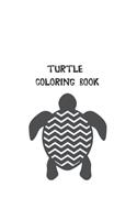 Turtle coloring book