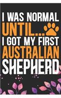 I Was Normal Until I Got My First Australian Shepherd