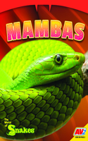 Mambas