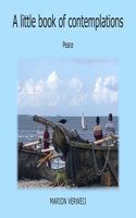 Little Book of Contemplations