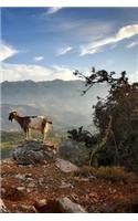 Goats On Crete Notebook