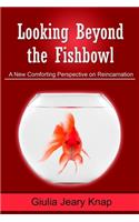 Looking Beyond the Fishbowl