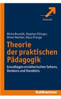 Theorie Der Praktischen Padagogik