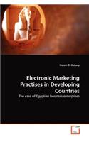 Electronic Marketing Practises in Developing Countries