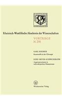Kunststoffe in Der Chirurgie. Augenoperationen in Mikroskopischen Dimensionen