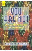 You are Not: Beyond the Three Veils of Consciousness