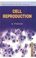 Cell Reproduction