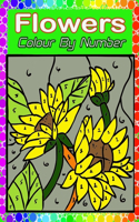 Flowers Color By Number: Large Print Adults Color By Number Coloring Book(Best Coloring Book Flowers Color by Number)