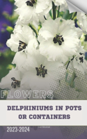 Delphiniums in Pots or Containers: Become flowers expert