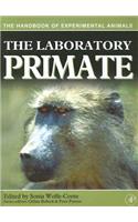 Laboratory Primate
