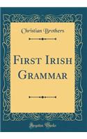 First Irish Grammar (Classic Reprint)